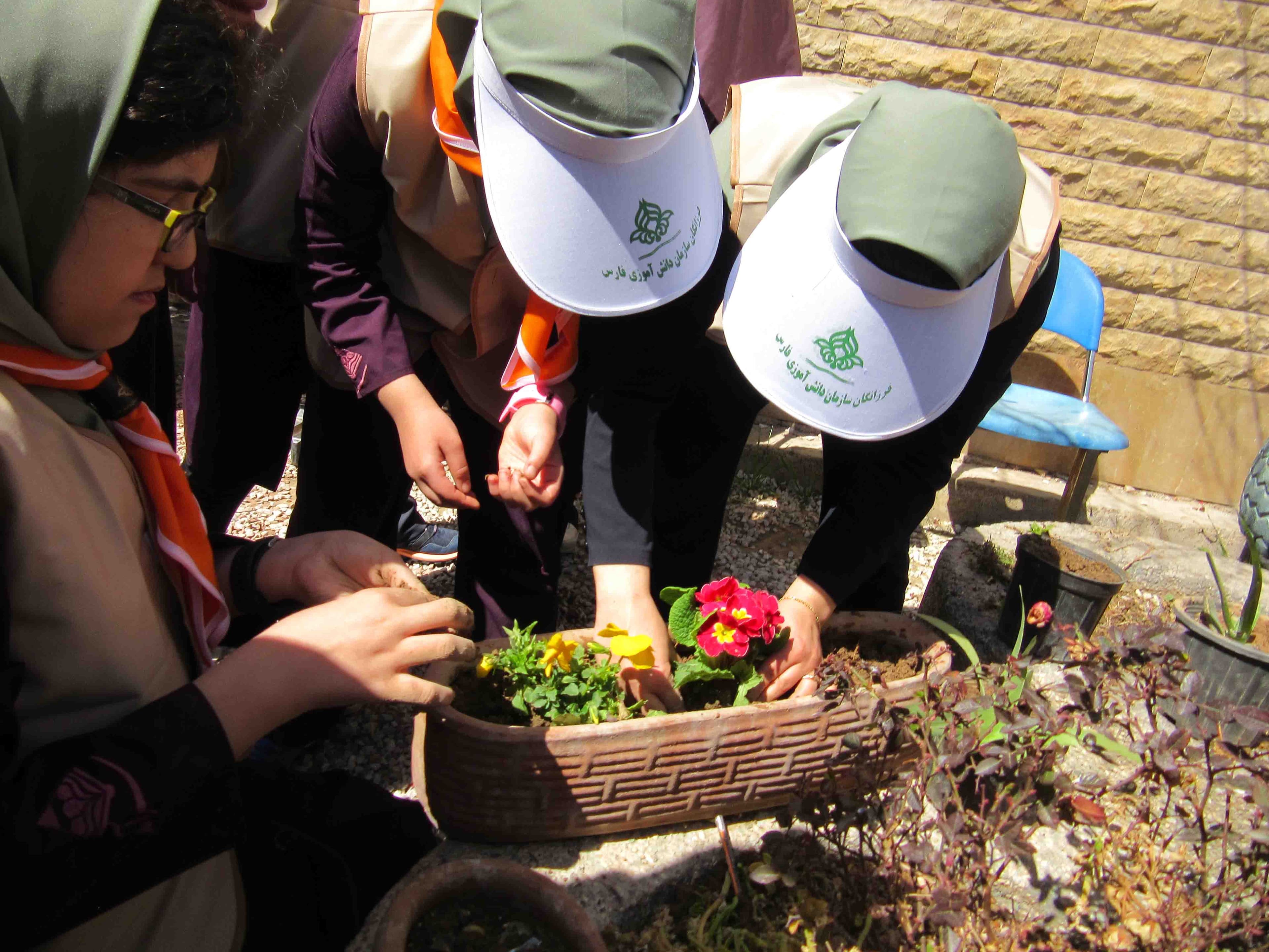 روز درختکاری