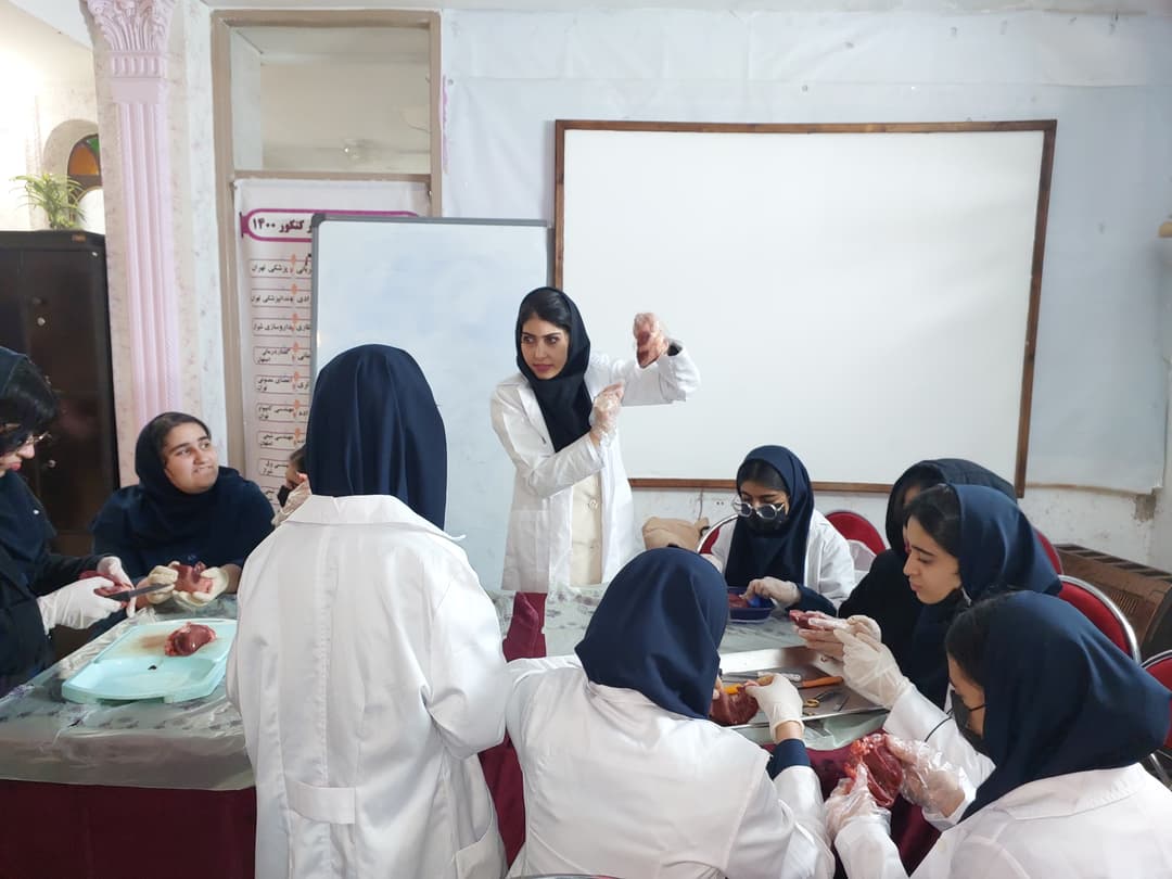 تصویر مقاله