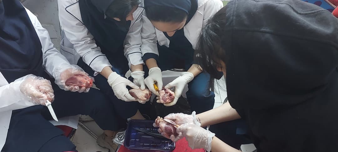 تصویر مقاله