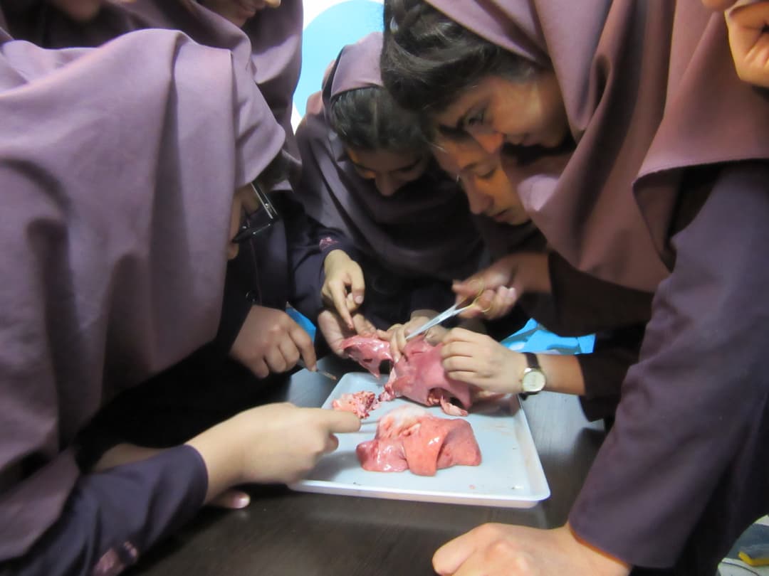 تصویر مقاله