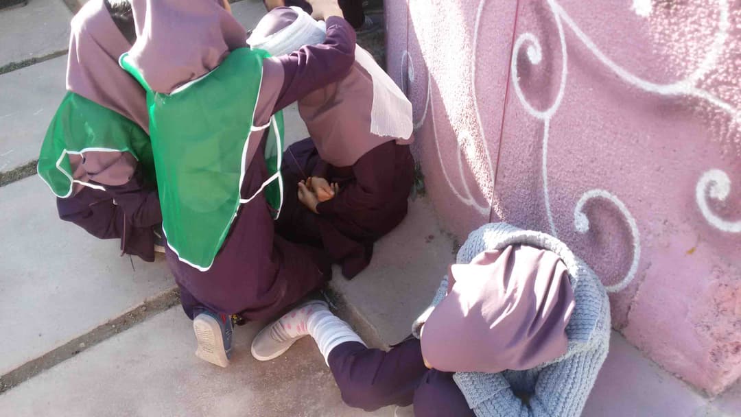 تصویر مقاله