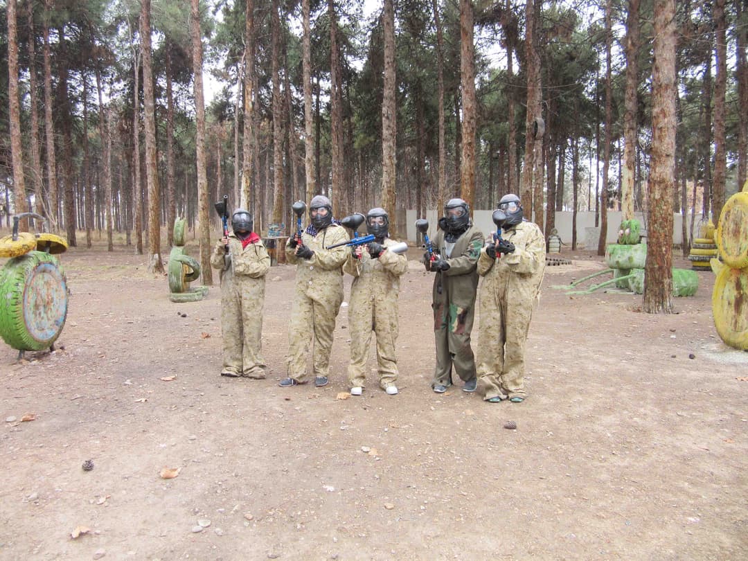 تصویر مقاله