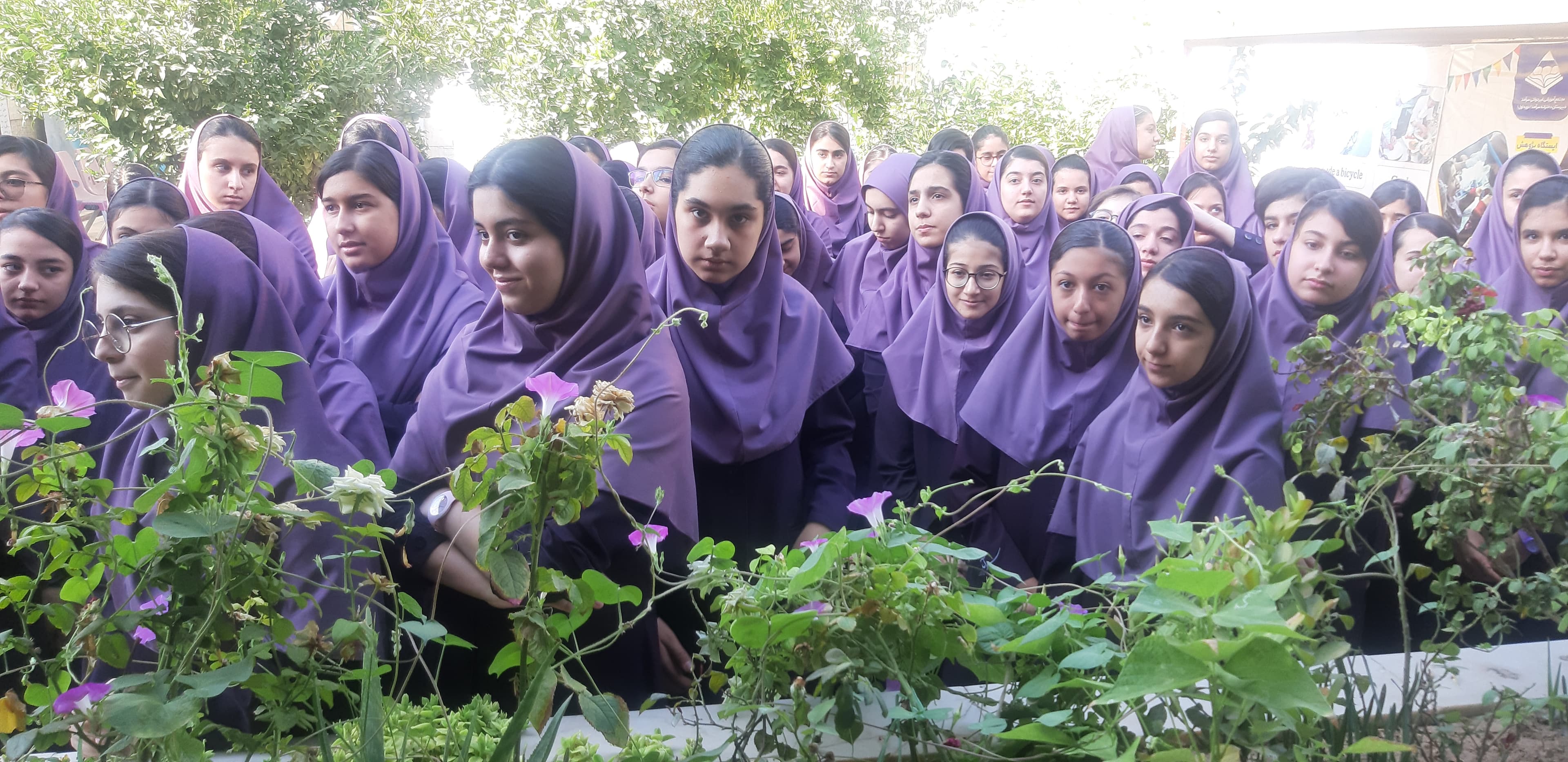 صف صبحگاهی 