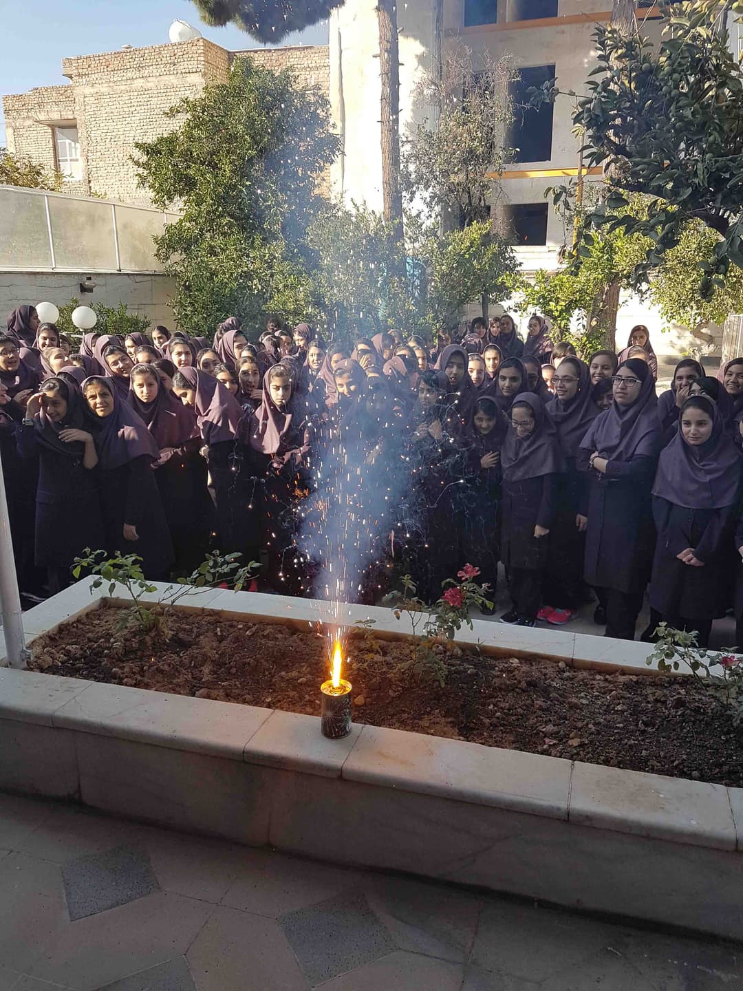 تصویر مقاله