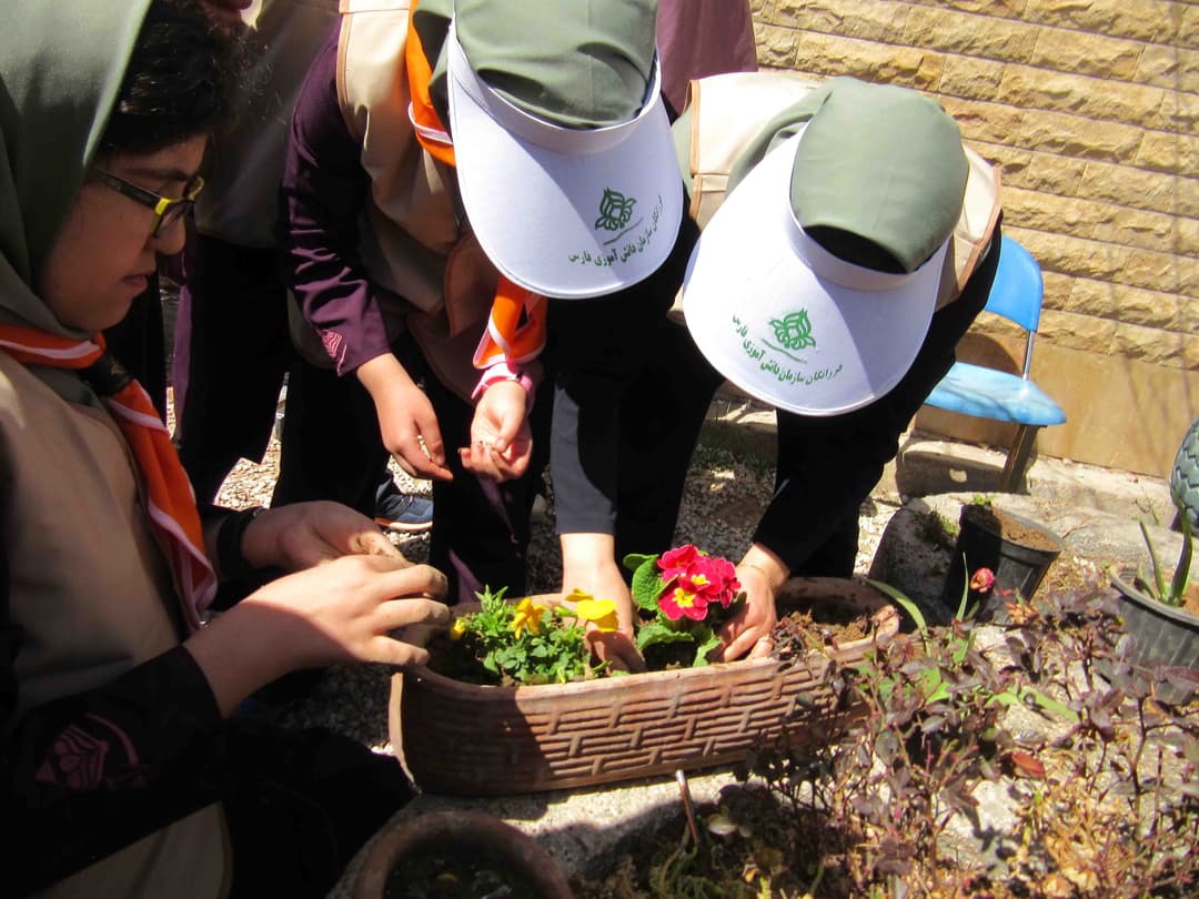 روز درختکاری