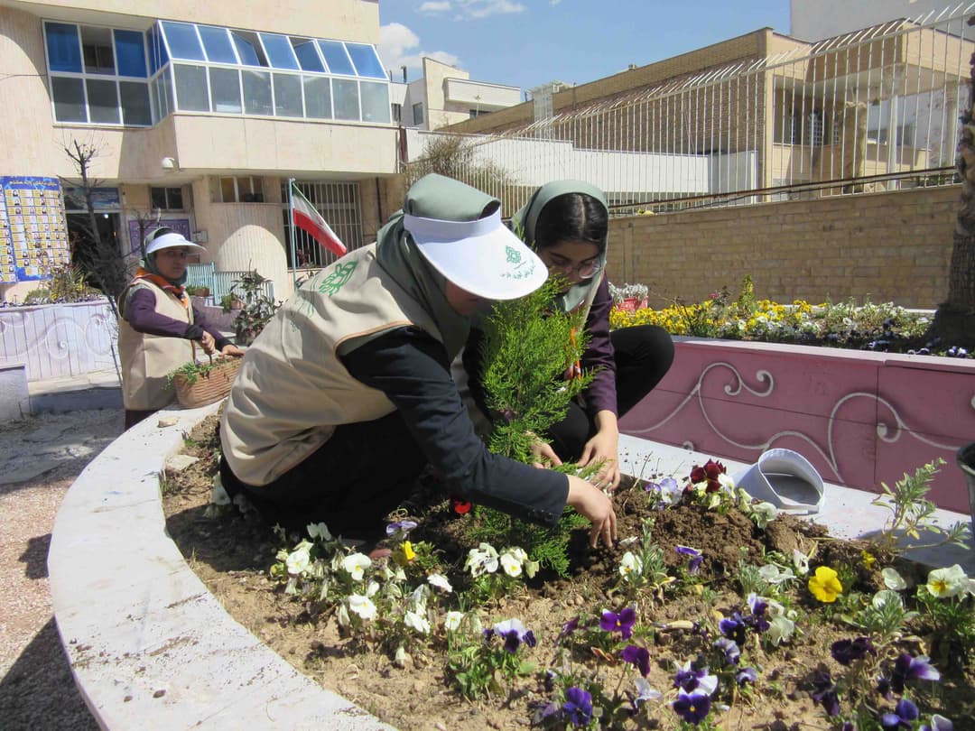 تصویر مقاله