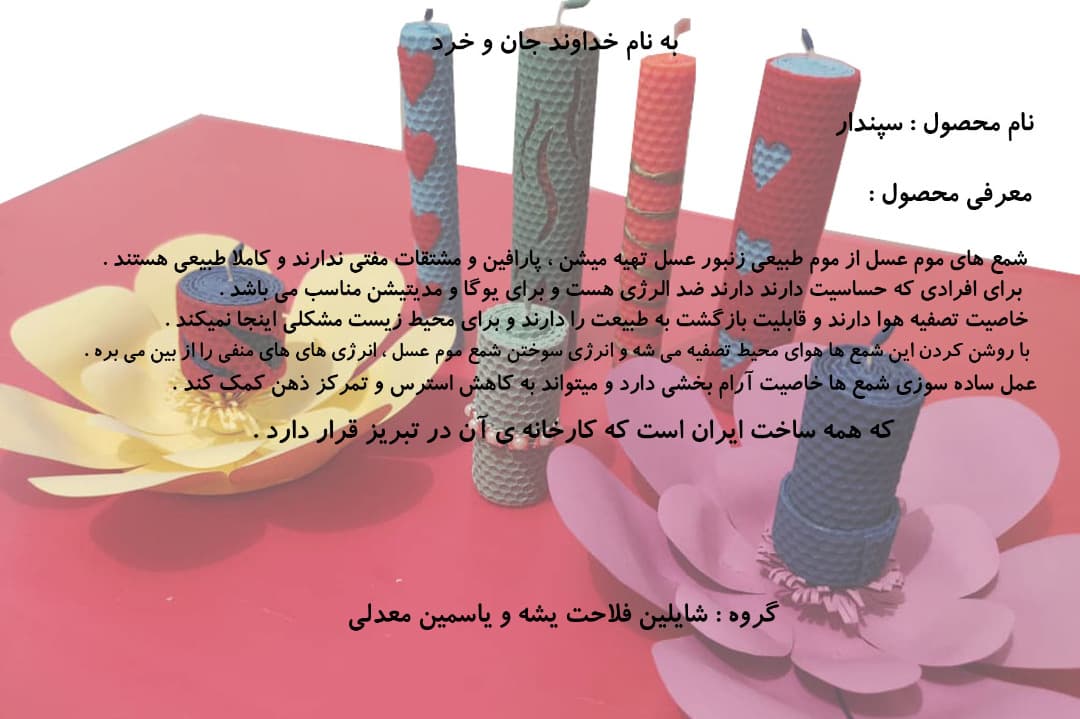 بازارچه کسب و کار دانش آموزی